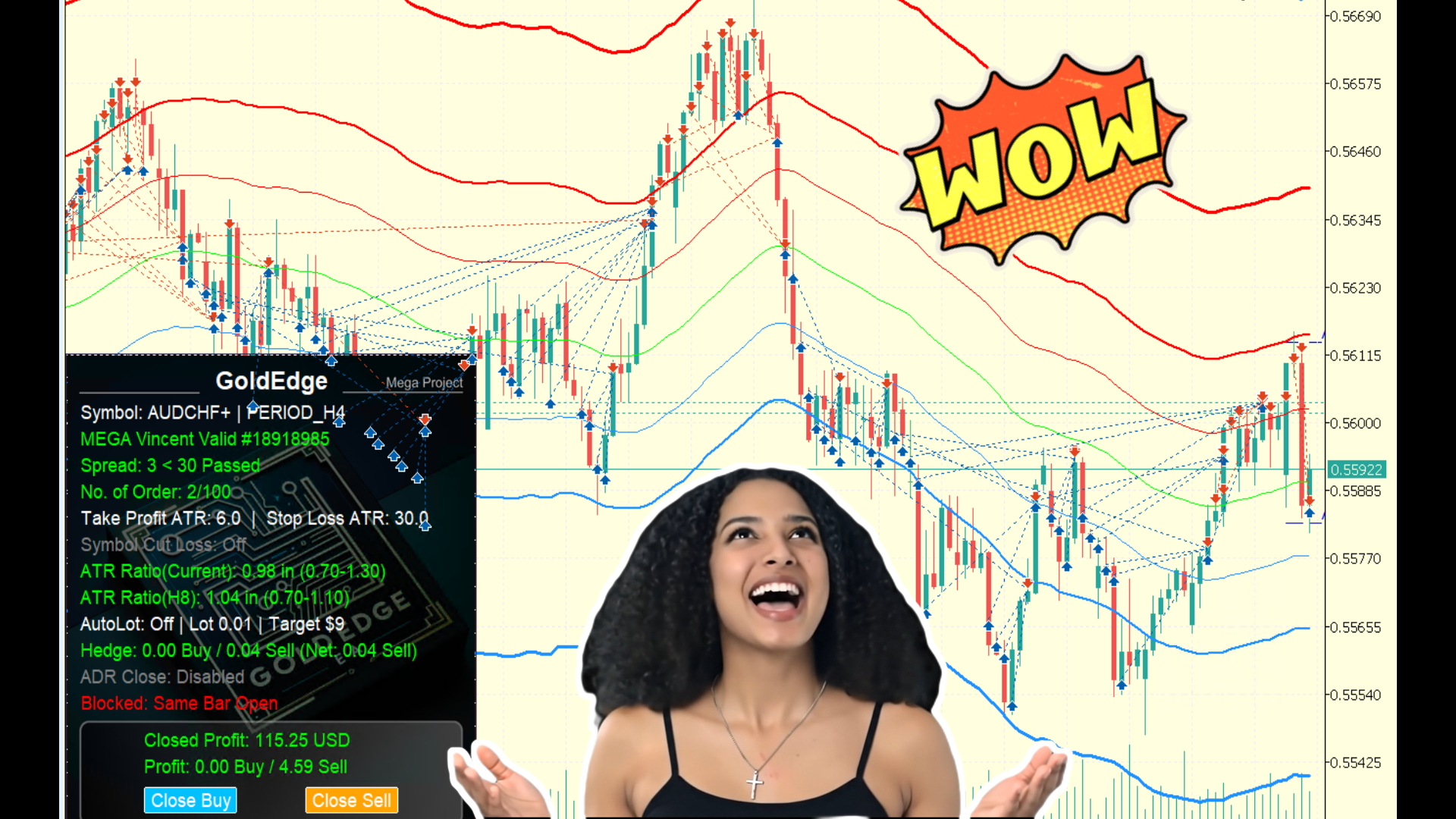 AUDCHF Reversal